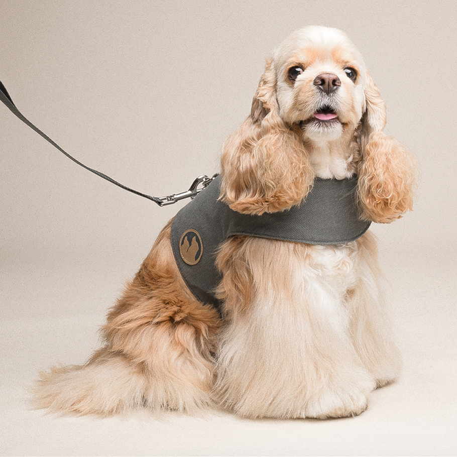 Dog Harness Small Dog Vest Type Leash