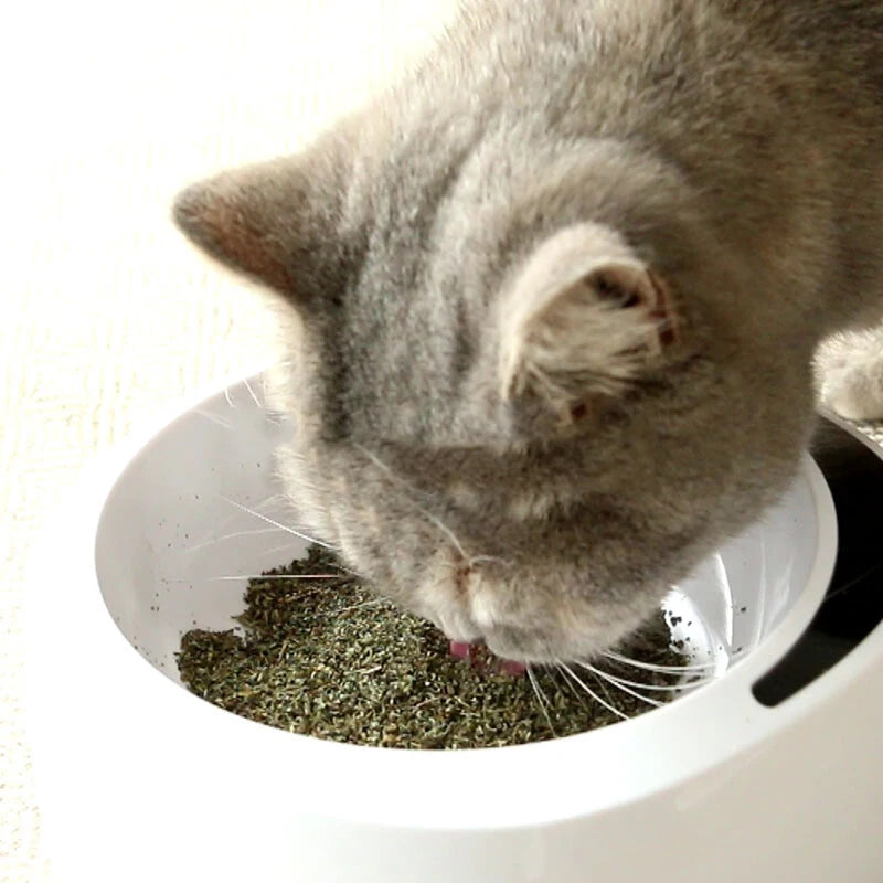20g Simply Catnip Natural Organic Premium Catnip 20g/bag Catmint  Menthol Flavor Can Be Sprinkled on Toys and Catnip Toys