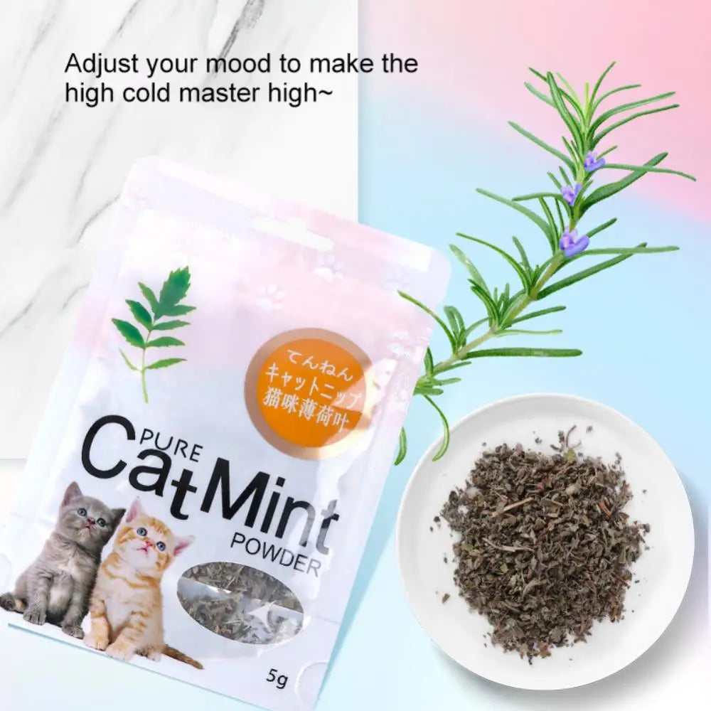 5g Natural Catnip Cat Toys Menthol Flavor Clean Teeth Healthy Care Funny Cat Catmint Toys Organic Premium Catnip Cattle Grass