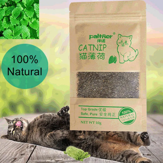 1pcs Natural Premium Catnip Menthol Organic Funny Cat Toys 10g Flavor 100% Cattle Grass Snacks Catnip Pet Supplies Kitten Cat