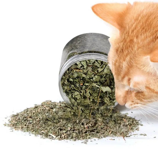 Cat Mint Catnip Natural Catnip Organic Pets Mint Grass Menthol High Potency Cat Removal Hair Stimulants For Kitten Catmint Toy