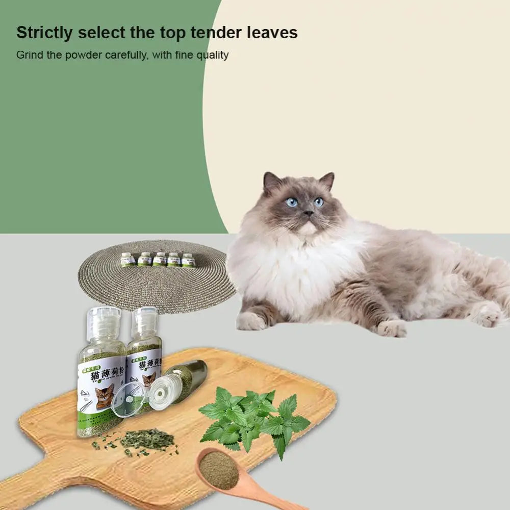 Cat Toys Catnip Organic Natural Cat Mint Grass Menthol Funny For Kitten Pet Cat Healthy Safe Edible Treating Products
