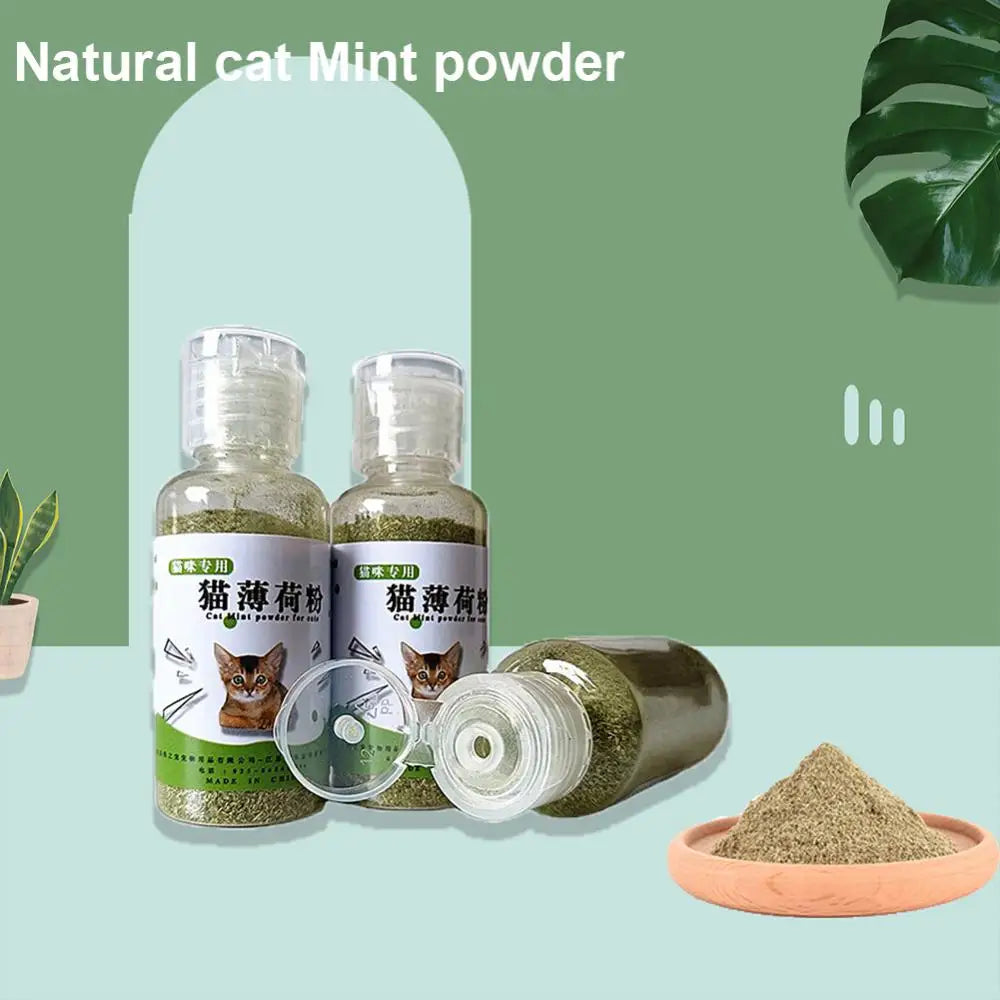 Cat Toys Catnip Organic Natural Cat Mint Grass Menthol Funny For Kitten Pet Cat Healthy Safe Edible Treating Products