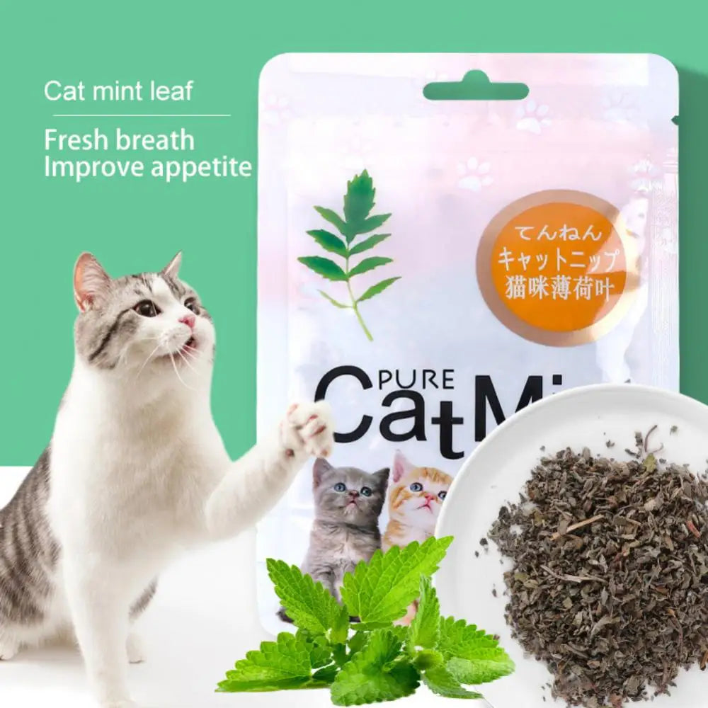 5g Natural Catnip Cat Toys Menthol Flavor Clean Teeth Healthy Care Funny Cat Catmint Toys Organic Premium Catnip Cattle Grass